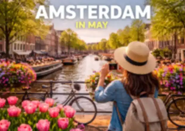 Amsterdam in May – Tulip Season Travel Guide