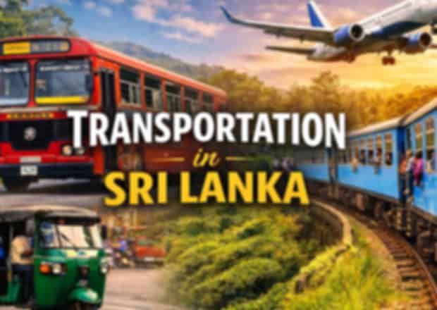 Transportation in Sri Lanka: Getting Around by Bus, Train, Tuk-Tuk & More