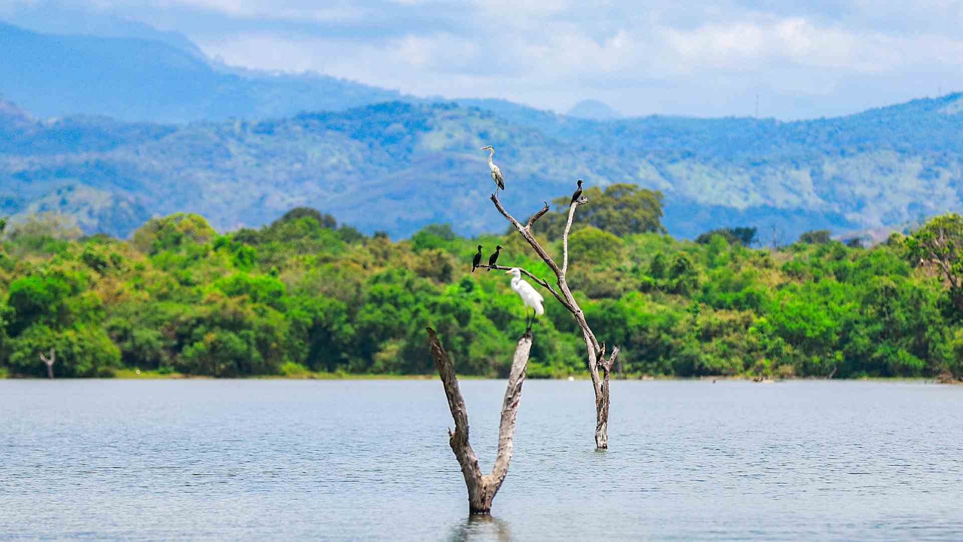 Hidden Places in Sri Lanka: 10 Offbeat Destinations to Explore in 2026