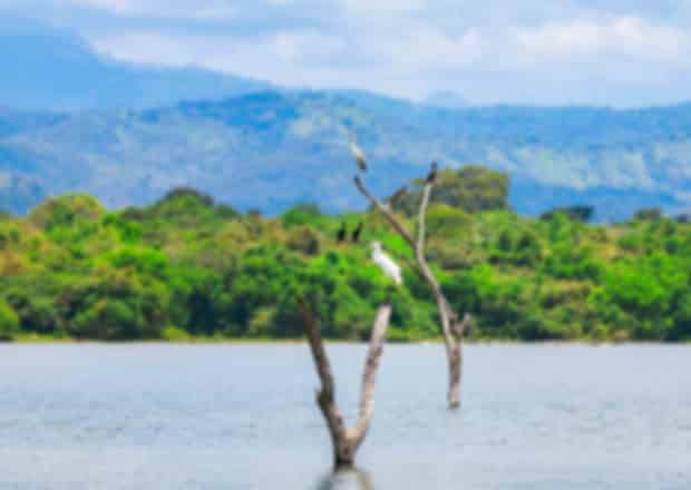 Hidden Places in Sri Lanka: 10 Offbeat Destinations to Explore in 2026