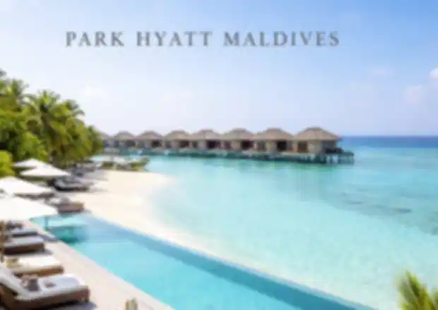Park Hyatt Maldives Hadahaa Review: Ultimate Diving & Honeymoon Resort Guide