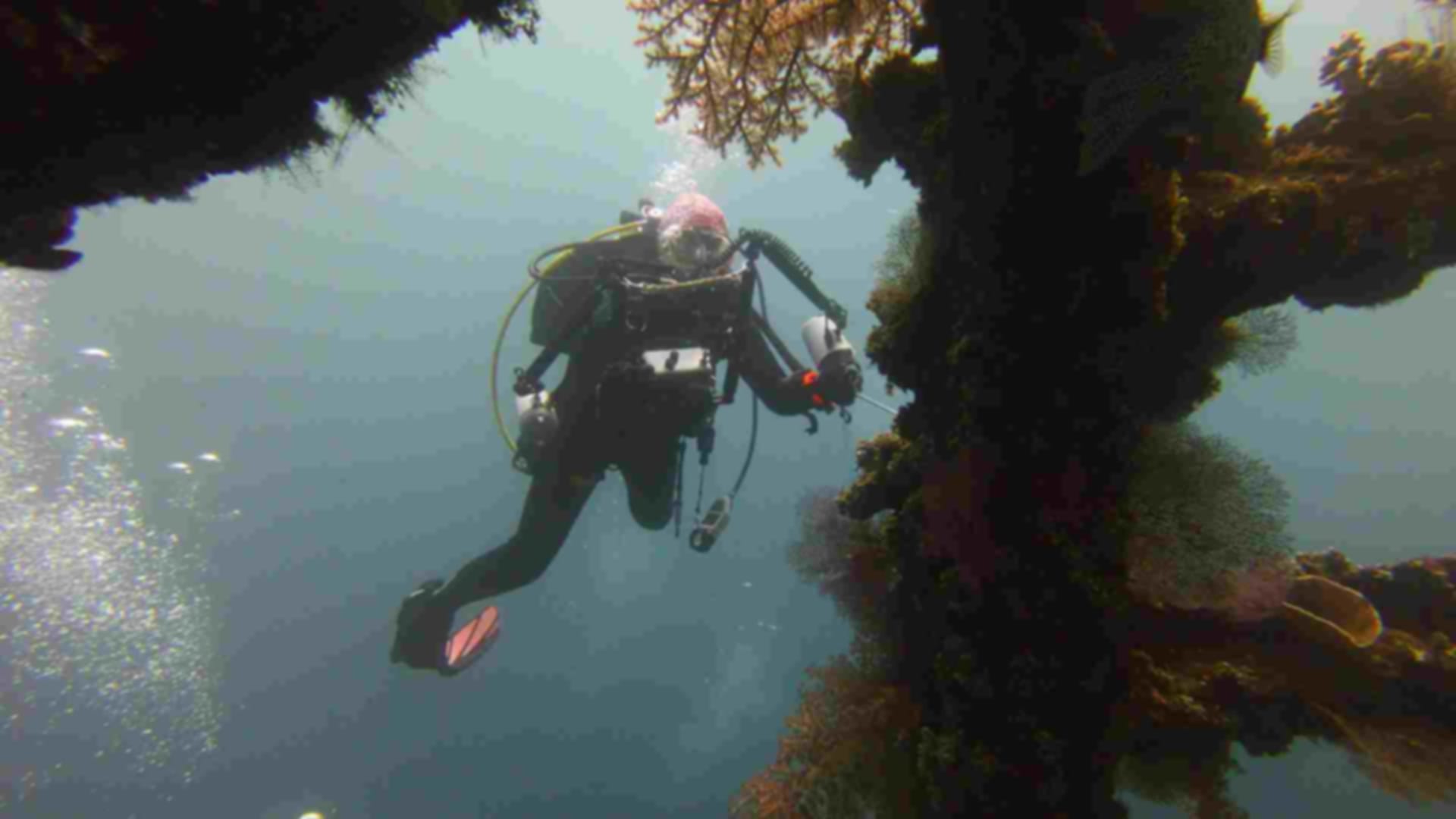Scuba Diving in Sri Lanka: Best Places, Costs, Best Time & Tips