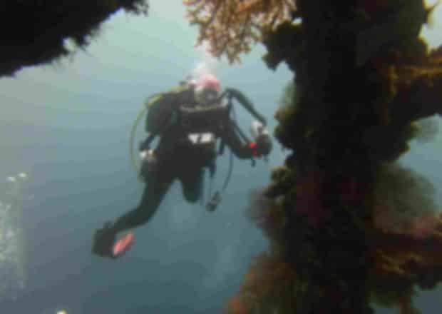 Scuba Diving in Sri Lanka: Best places, Cost for Beginners, Best Time & Complete Diving Guide