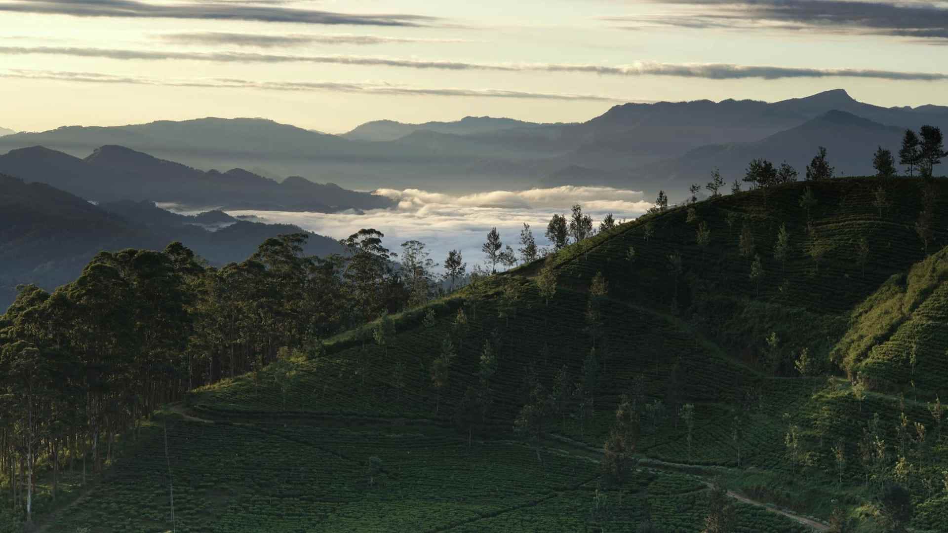 8 Hill Stations in Sri Lanka: Best Places, Travel Guide, Budget & Tips (2026)