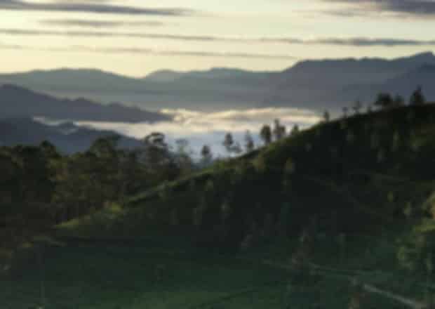 8 Hill Stations in Sri Lanka: Best Places, Travel Guide, Budget & Tips (2026)