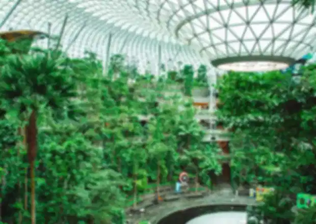The Green Planet Dubai : Complete Guide to the Indoor Rainforest Bio-Dome