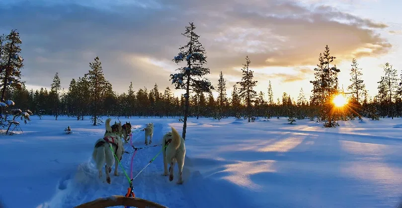 Try the winter activites in Finalnd, one of the beautiful Nordic countries. 