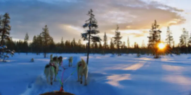 Try the winter activites in Finalnd, one of the beautiful Nordic countries.