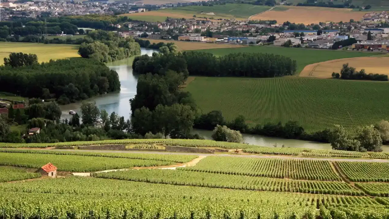 Best Vineyards in France: Top Wine Regions & Places to Visit