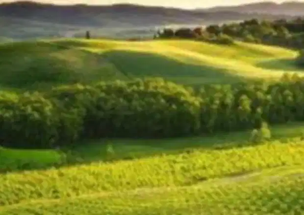 Best Countryside in Italy: 8 Regions to Explore in 2026