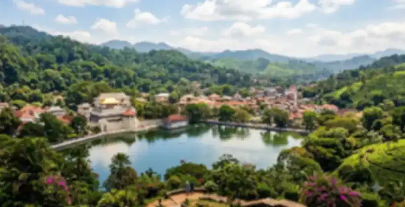 Sri Lanka in January: Weather, Things to Do & Travel Guide