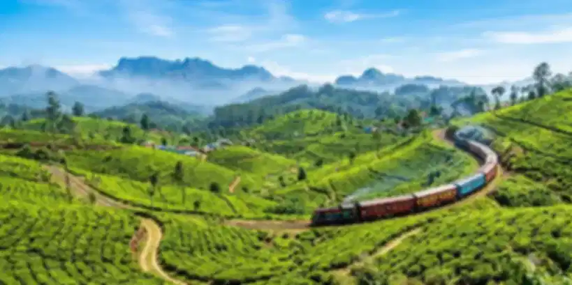 Summer in Sri Lanka: Weather, Best Places to Visit, Cost, Travel Tips & Things to Do